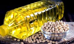 मूंगफली तेल, सोयाबीन रिफाइंड में उछाल मूंगफली तेल, सोयाबीन रिफाइंड में उछाल