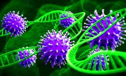 देश में कोरोना से ठीक होने वालों की संख्या नये मामलों से दोगुना देश में कोरोना से ठीक होने वालों की संख्या नये मामलों से दोगुना