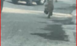 मेरठ में घर में घुसा तेंदुआ- जाल तोड़ भीड़ के बीच सड़क पर भागा मेरठ में घर में घुसा तेंदुआ- जाल तोड़ भीड़ के बीच सड़क पर भागा