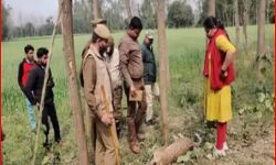 शिकार के लिए पेड़ से लगाई छलांग- लगा करंट हो गई तेंदुए की मौत शिकार के लिए पेड़ से लगाई छलांग- लगा करंट हो गई तेंदुए की मौत