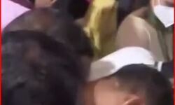 शुरुआती रुझान में यह दल गोवा में सत्ता के इतना करीब शुरुआती रुझान में यह दल गोवा में सत्ता के इतना करीब