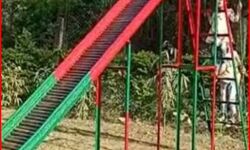 ले डूबा सपा का प्रेम-झूलों को सपाई रंग देने वाले जिला उद्यान अधिकारी सस्पेंड ले डूबा सपा का प्रेम-झूलों को सपाई रंग देने वाले जिला उद्यान अधिकारी सस्पेंड