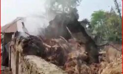 हिंसा की आग में फिर झुलसा बंगाल- हत्या के बाद बवाल, इतने जिंदा जले