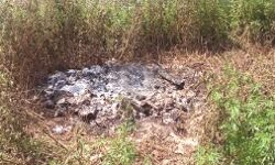 प्रेमी से बात कर रही बेटी की पीट पीटकर हत्या-शव लगाया ठिकाने प्रेमी से बात कर रही बेटी की पीट पीटकर हत्या-शव लगाया ठिकाने