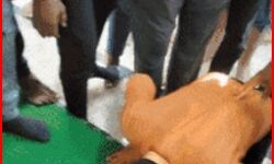 कश्मीर फाइल्स पर कमेंट पड़ा महंगा- नाक रगड़कर मंगवाई माफी