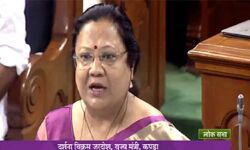 वृंदावन के शिल्प का भी हो सकता है कपड़ा उद्योग में इस्तेमाल वृंदावन के शिल्प का भी हो सकता है कपड़ा उद्योग में इस्तेमाल