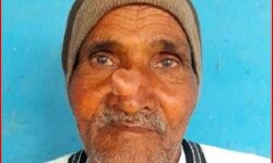 भंडारे में मधुमक्खियों ने बोला हमला-50 घायल-बुजुर्ग की मौत