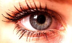 86 मिनट अपलक सूर्य दर्शन का बुजुर्ग ने बनाया अनोखा रिकार्ड