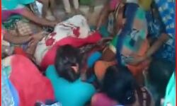 पेड़ से टूटी डाल लेकर चली गई 10 वर्षीय मासूम की जान-एक घायल पेड़ से टूटी डाल लेकर चली गई 10 वर्षीय मासूम की जान-एक घायल