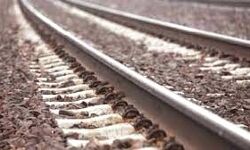 रेलवे ट्रैक पर मवेशियों का झुंड आने से 7 गौवंश की मौत- ऐसे टला खतरा