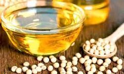 खाद्य तेल: सोयाबीन रिफाइंड- पाम तेल में गिरावट खाद्य तेल: सोयाबीन रिफाइंड- पाम तेल में गिरावट