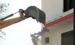 इंस्पेक्टर के घर पर चला बाबा का बुलडोजर- ऐसे खड़ा किया था मकान