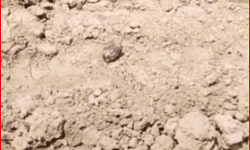 हाईवे किनारे हैंड ग्रेनेड मिलने से हड़कंप-जांच में जुटी पुलिस एवं बम स्क्वायड