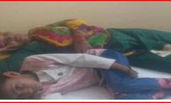 कुट्टू का आटा अब यहां भी लाया लोगों की जान पर आफत कुट्टू का आटा अब यहां भी लाया लोगों की जान पर आफत