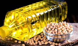 मूंगफली, पाम और वनस्पति तेल में नरमी मूंगफली, पाम और वनस्पति तेल में नरमी