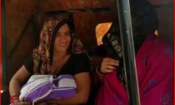 हाय री राजनीति-5 दिन के बच्चे के साथ वोट डालने पहुंची नव प्रसूता हाय री राजनीति-5 दिन के बच्चे के साथ वोट डालने पहुंची नव प्रसूता