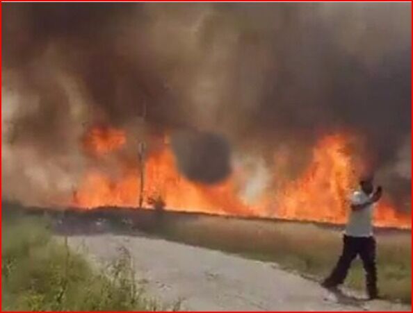 70 किसानों की डेढ़ सौ एकड़ गेहूं की फसल आग में जलकर पूरी तरह राख