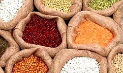 अनाज मंडी: चना, तुअर, उड़द महंगी, मसूर सस्ती, दालों में सुधार अनाज मंडी: चना, तुअर, उड़द महंगी, मसूर सस्ती, दालों में सुधार