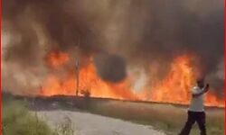 70 किसानों की डेढ़ सौ एकड़ गेहूं की फसल आग में जलकर पूरी तरह राख 70 किसानों की डेढ़ सौ एकड़ गेहूं की फसल आग में जलकर पूरी तरह राख