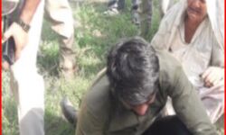 चाकू से गोदकर बहन के घर आए किसान की हत्या- मचा कोहराम