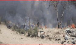 सिलेंडरों में हुआ ब्लास्ट-100 से ज्यादा गाये जिंदा जली- मौके पर बनी दहशत