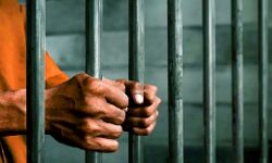 IAS अधिकारी को जान से मरने की धमकी देने वाले खाद्य अधिकारी को जेल IAS अधिकारी को जान से मरने की धमकी देने वाले खाद्य अधिकारी को जेल