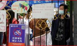 लॉकडाउन से हुआ बुरा-जेल में खाने की उम्मीद से तोड डाला कर्फ्यू लॉकडाउन से हुआ बुरा-जेल में खाने की उम्मीद से तोड डाला कर्फ्यू