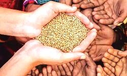 जरूर दें ध्यान-6 महीने राशन नहीं लिया तो पड सकते हैं इस मुसीबत में