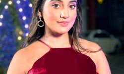 बजरंगी भाईजान फेम कोरियोग्राफर आदिल शेख के साथ नजर आयेगी अक्षरा सिंह