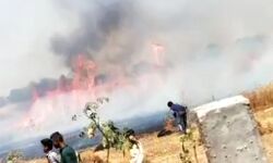 विद्युत लाइन की चिंगारी से गेहूं की फसल जल कर हुयी खाक