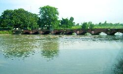 दंपती ने दो पुत्रियों के साथ नहर में कूद दे दी जान दंपती ने दो पुत्रियों के साथ नहर में कूद दे दी जान