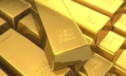 शिकंजा- दुबई से आये यात्री के पास से पकडे सोने की बिस्कुट शिकंजा- दुबई से आये यात्री के पास से पकडे सोने की बिस्कुट