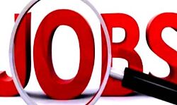 खुला भर्तियों का पिटारा-सरकार ने इस विभाग में आरंभ की नई भर्तियां