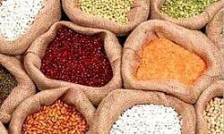 अनाज मंडी: चना, मसूर, मूंग, उड़द सस्ती, दालों में घटबढ़ अनाज मंडी: चना, मसूर, मूंग, उड़द सस्ती, दालों में घटबढ़