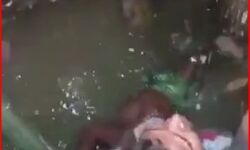 बाल को ढूंढते हुए टैंक में गिरी बच्ची- जान पर खेल युवक ने बचाया बाल को ढूंढते हुए टैंक में गिरी बच्ची- जान पर खेल युवक ने बचाया