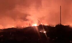 मानेसर स्क्रैप में लगी आग में झुलसी एक महिला की मौत