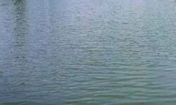 नदी में नहाने गये तीन बालकों की मौत नदी में नहाने गये तीन बालकों की मौत