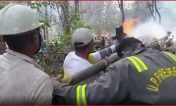 कंपनी बाग में लगी आग-बुरी तरह से झुलस गए हरे भरे पेड़ कंपनी बाग में लगी आग-बुरी तरह से झुलस गए हरे भरे पेड़