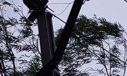 आंधी तूफान ने बिजली के खंभो व तारों पर गिराई गाज- देर रात तक आएगी बिजली आंधी तूफान ने बिजली के खंभो व तारों पर गिराई गाज- देर रात तक आएगी बिजली