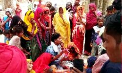 चारा डालने गये छात्र पर गाय हुई हमलावर- उतार दिया मौत के घाट