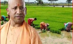 किसानों को राहत देने जा रही योगी सरकार-होंगे कर्जे माफ किसानों को राहत देने जा रही योगी सरकार-होंगे कर्जे माफ