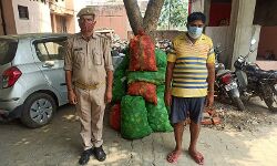 नहीं रहा था कानून का डर- शराब ला रहा था तस्कर- अब हुआ गिरफ्तार नहीं रहा था कानून का डर- शराब ला रहा था तस्कर- अब हुआ गिरफ्तार