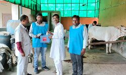 गला घोटू बीमारी से बचाव के लिए टीकाकरण अवश्य कराएं- विक्रम गला घोटू बीमारी से बचाव के लिए टीकाकरण अवश्य कराएं- विक्रम