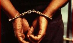 घोटालेबाज डायट का बाबू हिरासत में- फर्जी दस्तखत कर निकाले थे 60 लाख