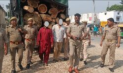 लकड़ी तस्करों पर पुलिस का शिकंजा- 5 लाख की लकड़ी के साथ दो अरेस्ट लकड़ी तस्करों पर पुलिस का शिकंजा- 5 लाख की लकड़ी के साथ दो अरेस्ट