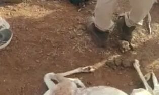 गुना गोलीबारी में एक शिकारी भी ढेर, शहीदों के परिजन को 1-1 करेाड़ की राशि