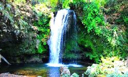 कार्बेट फाल में डूबने से कालेज के एक छात्र की मौत- दूसरा लापता