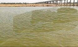 नदी में नहा रहे युवकों पर हमला- पांच के डूबने की आशंका नदी में नहा रहे युवकों पर हमला- पांच के डूबने की आशंका