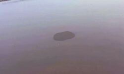 स्नान करने गये चार किशोर डूबे- दो की मौत