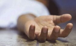 बैलगाड़ी के कुएं में गिरने से पिता- पुत्र की मौत